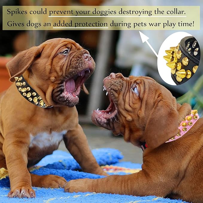 TEEMERRYCA Black Leather Dog Collar - Image 3
