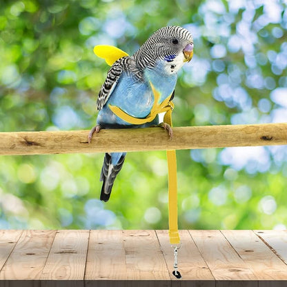 Dnoifne Pet Parrot Bird Harness and Leash, Adjustable Training Design Anti-Bite - Image 3