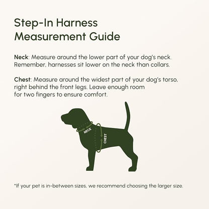Downtown Pet Supply Step-in Dog Harness – No Pull, Adjustable Padded Mesh - Image 5