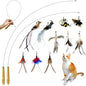 TTcat Interactive Bird & Insect Simulation Cat Toy Set 10 Pcs Feather Refills & by TTCAT
