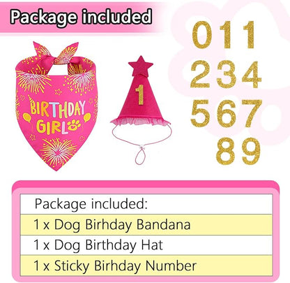 Dog Birthday Party Supplies, Rose Pink Dog Birthday Set - Image 2