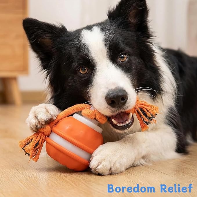 Interactive Dog Toys ，2026 upgraded motion-sensing pet toy ball, interactive - Image 4