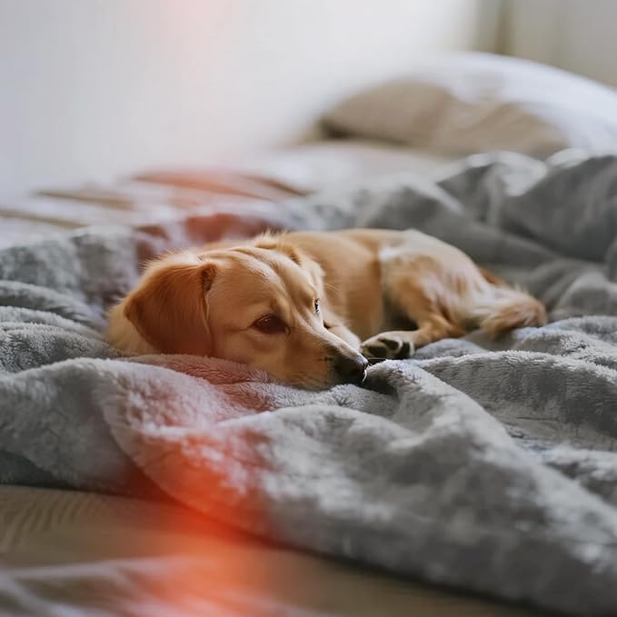 gogobunny Waterproof Bed Blanket, Reversible Sherpa Fleece Throw Blanket - Image 9