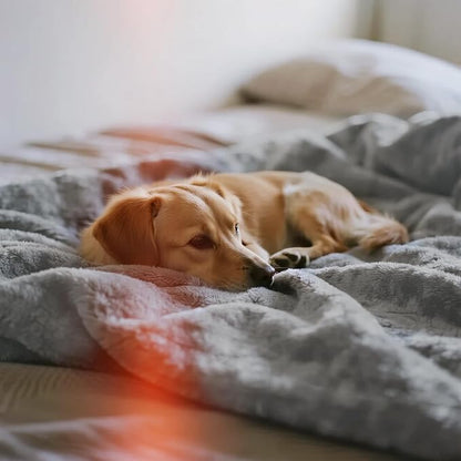 gogobunny Waterproof Bed Blanket, Reversible Sherpa Fleece Throw Blanket - Image 9