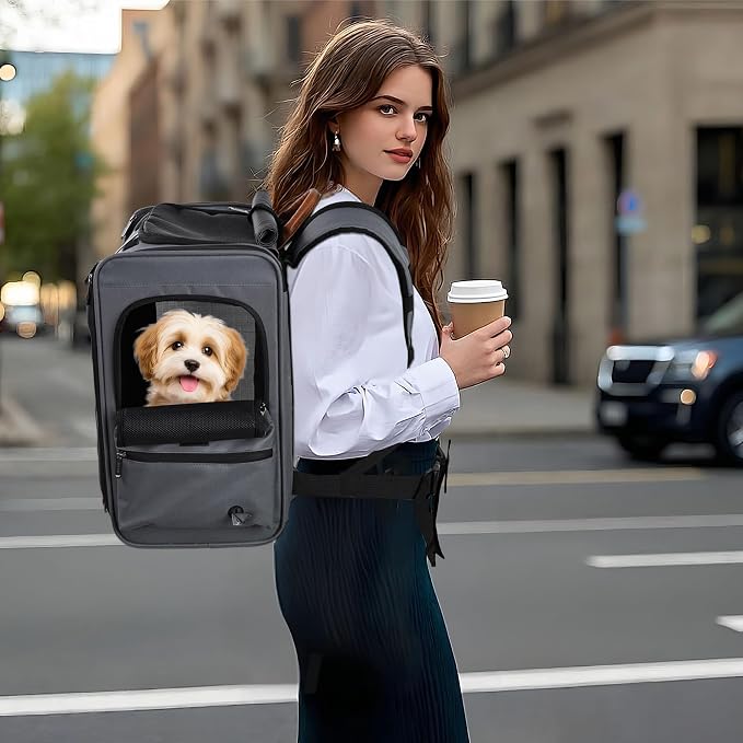 EliteField Deluxe Backpack Pet Carrier, Travel Soft-Sided Carrier Bag by EliteField
