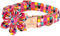 Lionheart glory Easter Dog Collar by LionheartGlory