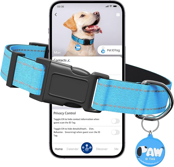 Reflective Dog Collar for Small Dogs by Pawduct