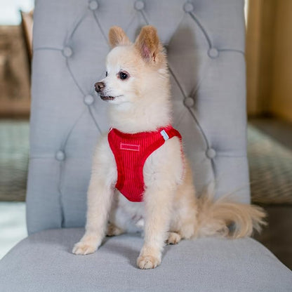 Voyager Step-In Plush Dog Harness – Soft Plush, Step In Vest Harness - Image 8