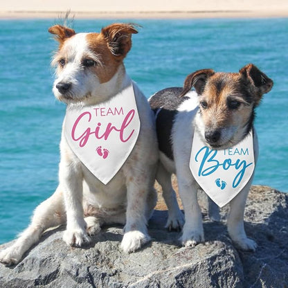 2 Packs Team Girl Team Boy Gender Reveal Baby Announcement Dog Bandana Pet - Image 4