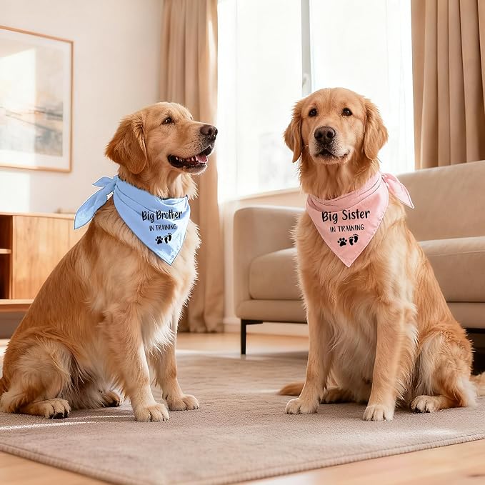 2 Pack Dog Bandana Pregnancy Announcement, Big Brother Sister in Training - Image 5