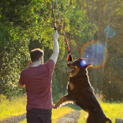 Flirt Pole for Dogs-Interactive Lures Durability Rope, Chase and Tug of war - Image 7