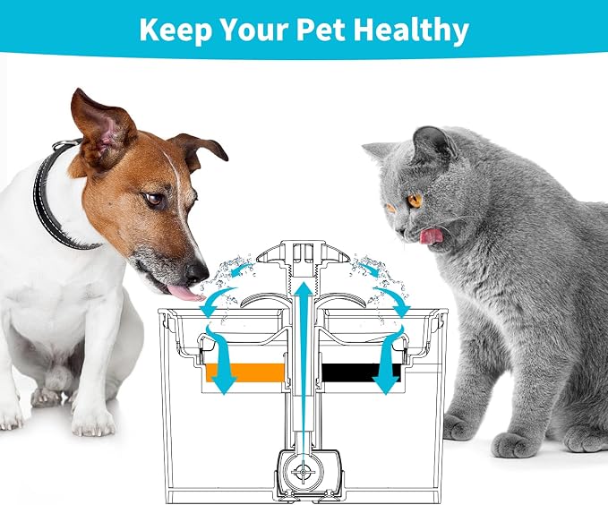 Cat Water Fountain Filter, 81 oz/2.4 L Automatic Pet Water Dispenser Cat - Image 7