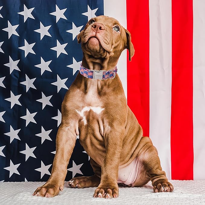 Unique style paws Independence Day Dog Collar Metal Buckle Wave Flag Collar - Image 3