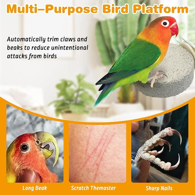 PINVNBY 8 PCS Bird Perch Parrot Beak Grinding Stone Calcium Mineral Parrot - Image 5