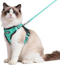 rabbitgoo Cat Harness and Leash by rabbitgoo