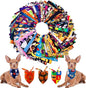 PET SHOW 50 Pack Halloween Small Dog Bandanas Girl Boy Pumpkin Bat Ghost Cat by PETSHOW