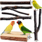 Bird Toys Parakeet Perch Budgie Perch Wood Stand Fork Toys Multi-Branch Perch by BBjinronjy