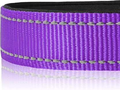 Joytale Reflective Dog Collar, Soft Neoprene Padded, Metal D-Ring, Nylon Pet - Image 4