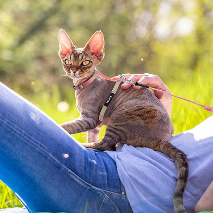 TIESOME Cat Harness and Leash Set, Adjustable Gradient Kitten Harness Escape - Image 6