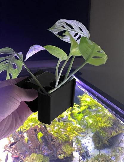 4 Pk Upgraded Aquarium Plant Holder, 3-Hole Hanging Aquarium Plant Holder - Image 6