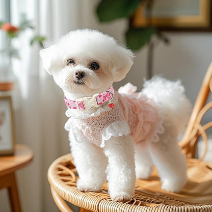 Strawberry Bow Dog Collar for Puppy Small Dogs - Image 2