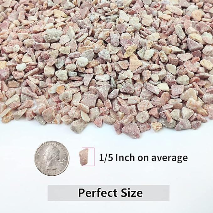 2LB Succulent and Cactus Gravel Pebbles, 1/5 Inch Natural Decorative Polished - Image 2