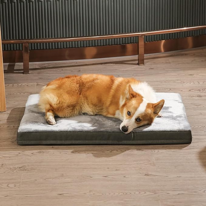Amazon Basics Washable Dog Bed - Image 7