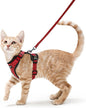 rabbitgoo Cat Harness and Leash by rabbitgoo