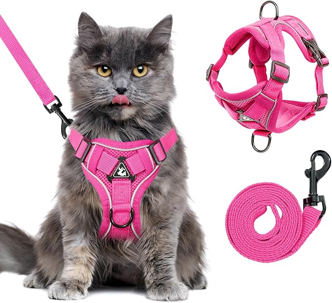 Large Cat Harness and Leash Set by GCVOPTON