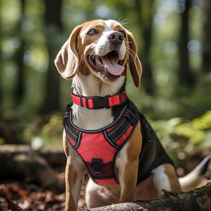 Joytale Reflective Dog Collar, Soft Neoprene Padded, Metal D-Ring, Nylon Pet - Image 2