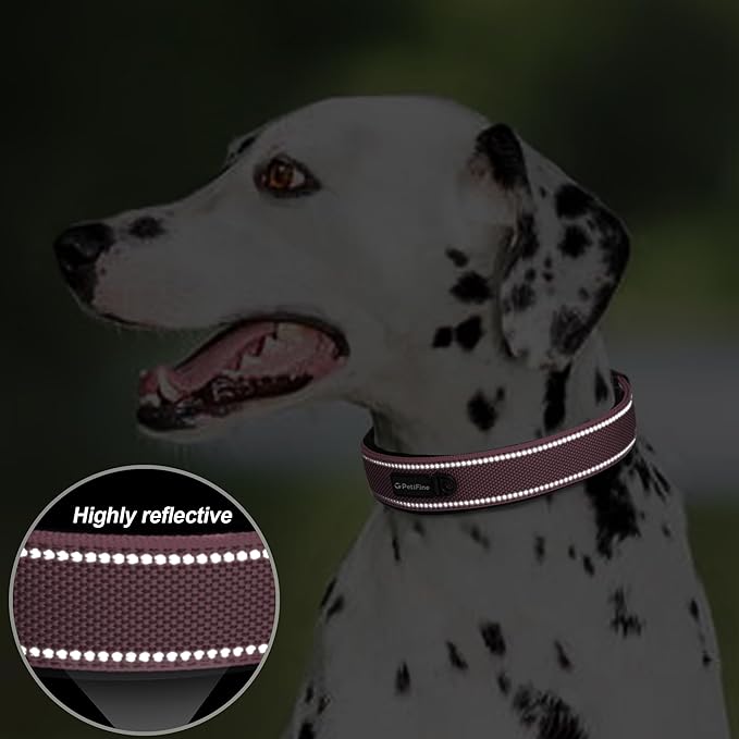 PetiFine Dog Collars for Small Dogs, Neoprene Padded Dog Collar, Reflective - Image 4