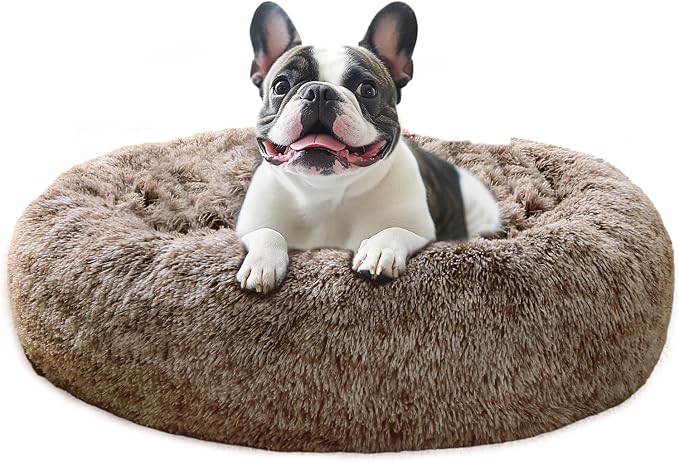 JOLLYVOGUE Calming Dog Bed Large Size Dog, Anti-Anxiety Donut Large Pet Bed by JOLLYVOGUE