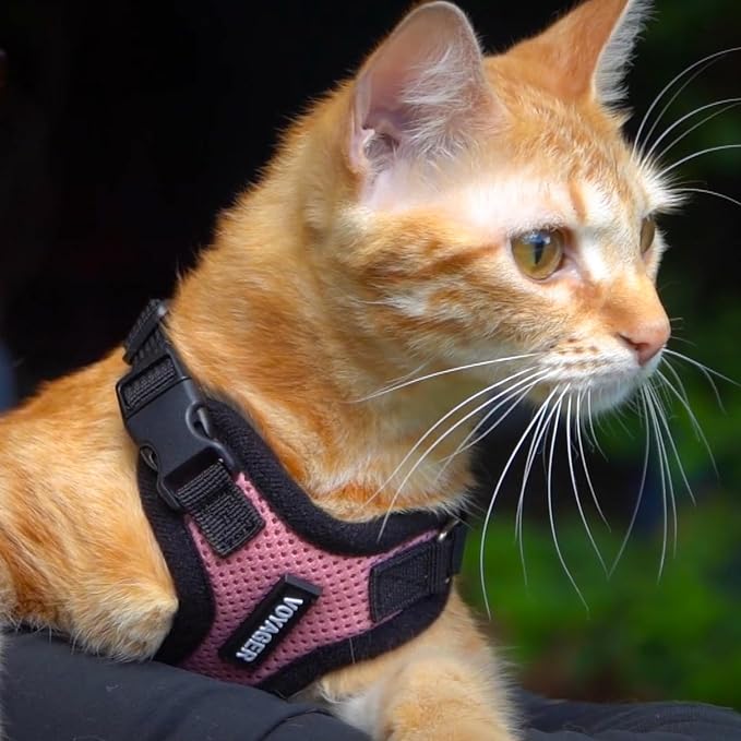 Voyager Escape-Proof Step-in Lock Cat Harness & 5ft Neoprene-Handle Leash Set - Image 6