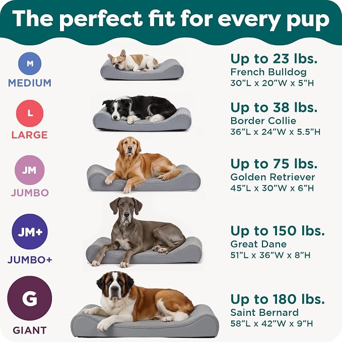 Furhaven Orthopedic Dog Bed for Large Dogs w/ Removable Washable Cover - Image 6