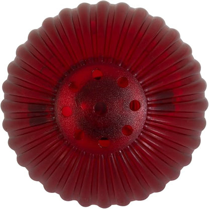 Pet Qwerks Blinky Babble Ball - Image 4