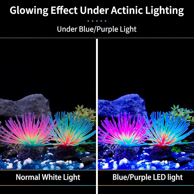 Uniclife Aquarium Imitative Rainbow and Iridescent Blue Sea Urchin Balls - Image 3