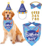ADOGGYGO Dog Birthday Party Supplies, Party Hat by ADOGGYGO