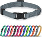 Joytale Small Dog Collar, Reflective and Adjustable Nylon Collar by Joytale