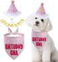 Dog Birthday Bandana Set, Light Pink Birthday Girl Decorations, HBD Party by GHSJYOHomeDecoration