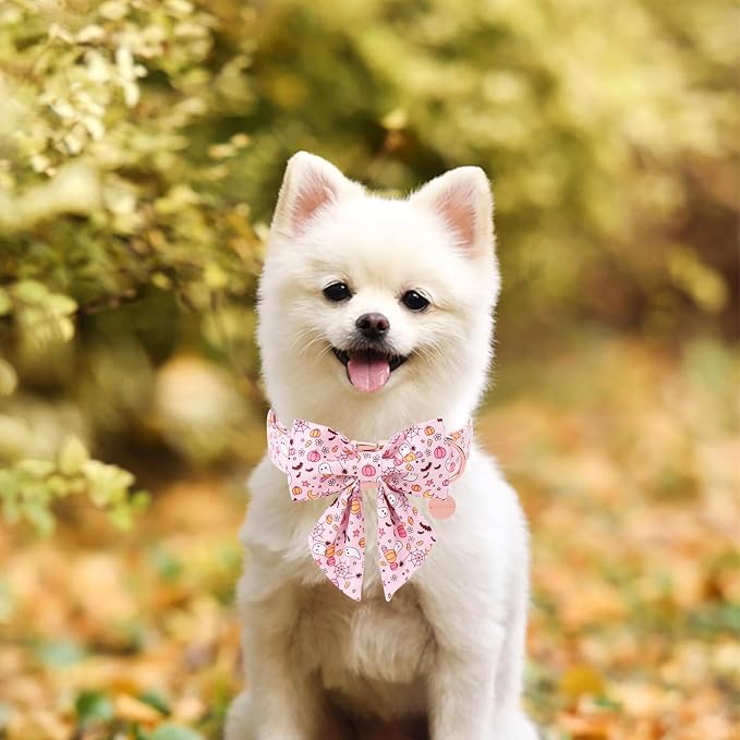 Halloween Dog Collar with Pink Floral Bowtie, Premium Cotton, Sturdy Metal - Image 4