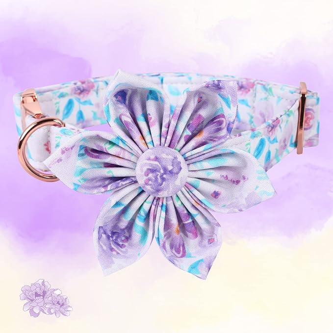 Lionheart Glory Dog Collar, Cute Floral Pattern Pet Collar Adjustable Dog Collar - Image 2