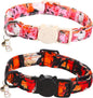 Fall Cat Collar-2 Pack Holiday Cat Collars Pumpkin Print Breakaway by BoboRainbow