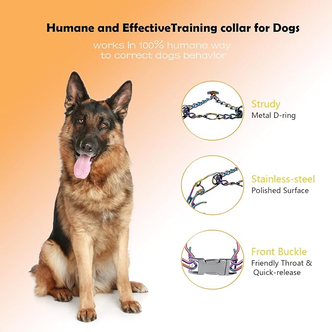 Dog Prong Collar - Image 2