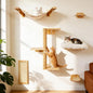 6in1 Cat Wall Shelves Climbing Systems, Large Cat Furniture Shelf Set Wall by Unknown