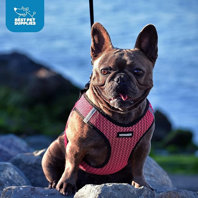 Voyager Step-in Air Dog Harness - Image 8