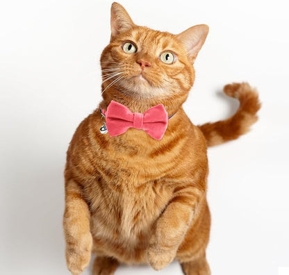 Sliverdew 2 Pcs Safety Cat Collar - Image 7