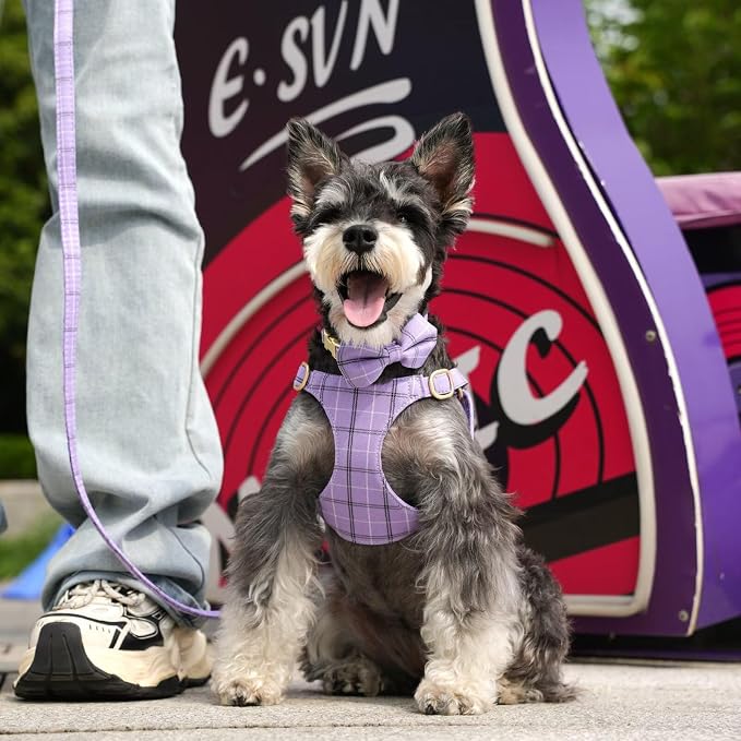 Beirui Cute Extra Small Dog Harness Collar and Leash Set - Image 3