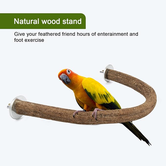 Rypet Parrot Natural Wood Stand Perch, Swing U Shape Natural Parrot Perch - Image 5