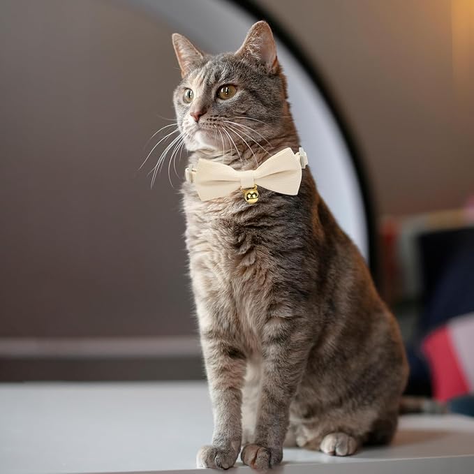 Cotton Breakaway Cat Collar - Image 7