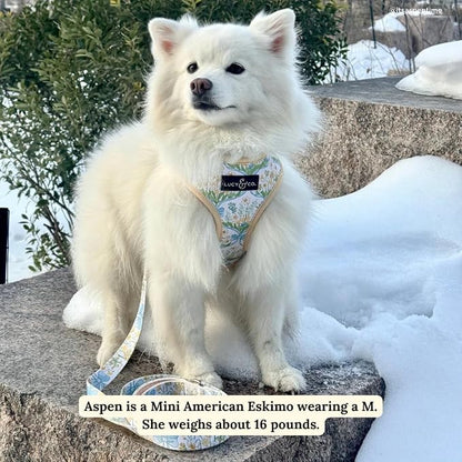 Lucy & Co. Sunshine and Daffodils Reversible Dog Harness, Adjustable Comfort Fit - Image 6